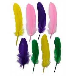 Large colored feathers, 8 pieces per card